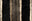 CARPENTER